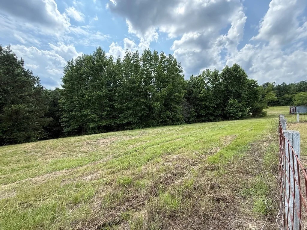 331 County Road 108 Center, TX 75935 - Photo 49 of 50