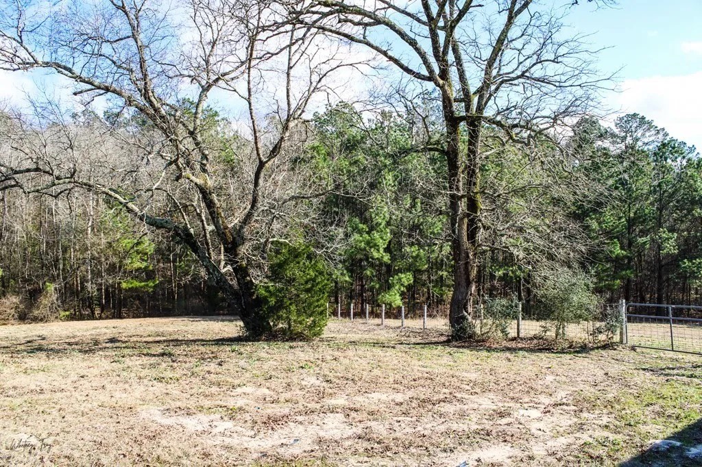 331 County Road 108 Center, TX 75935 - Photo 5 of 50