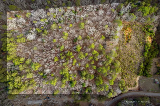 $130,000 | 0 Helms Road, Blacksburg, SC 29702