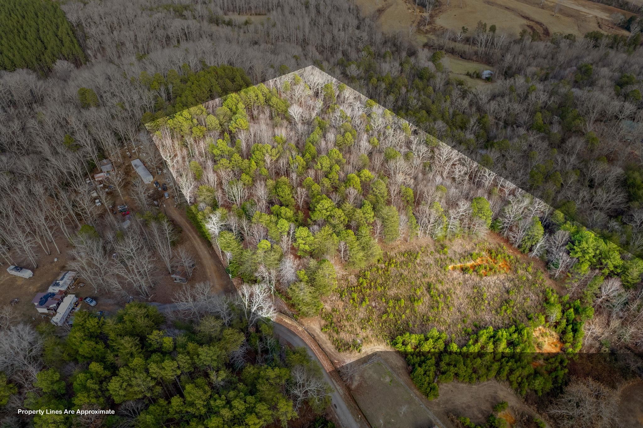 0 Helms Road Blacksburg, SC 29702 - Photo 3 of 12