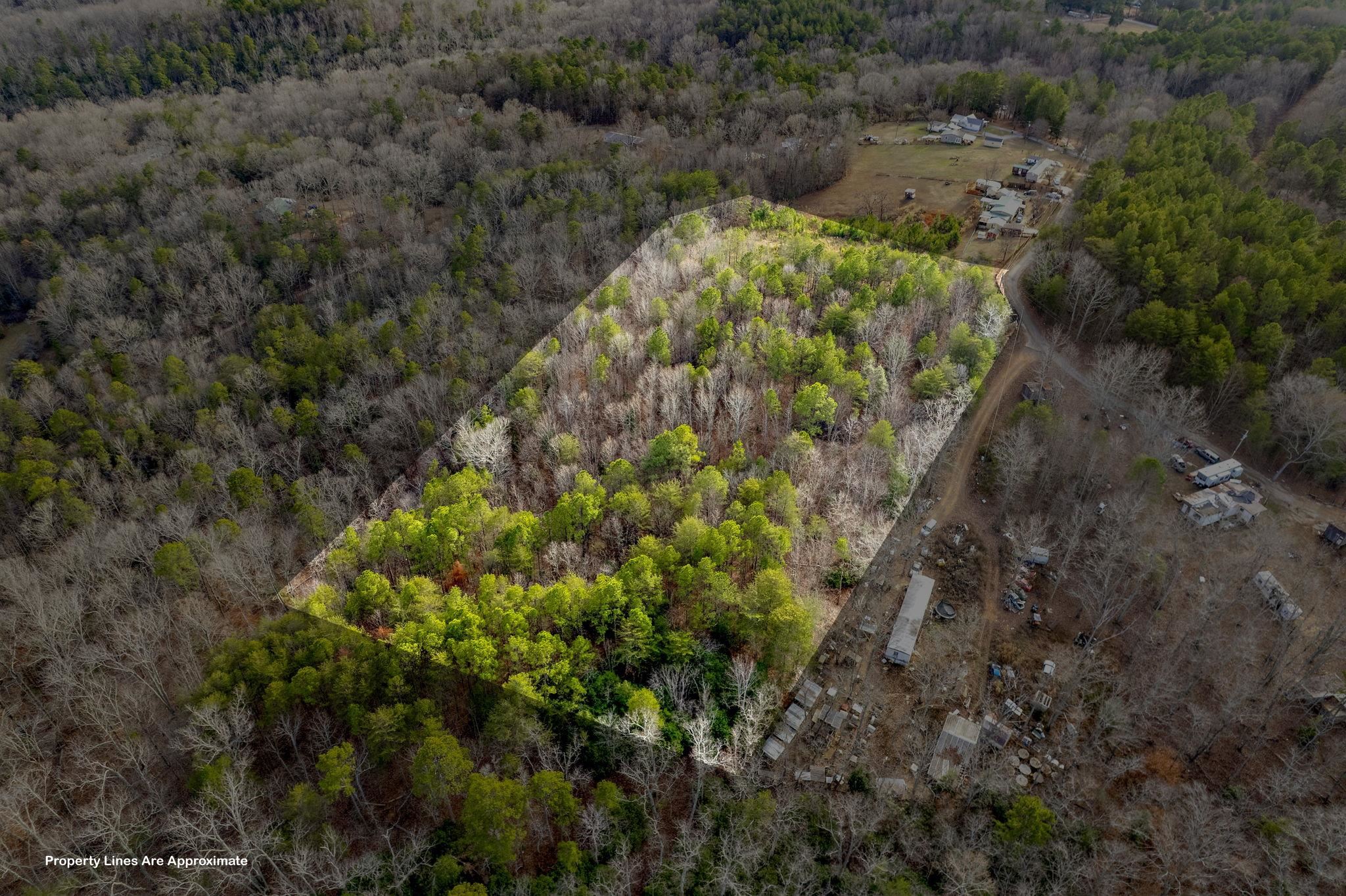 0 Helms Road Blacksburg, SC 29702 - Photo 10 of 12