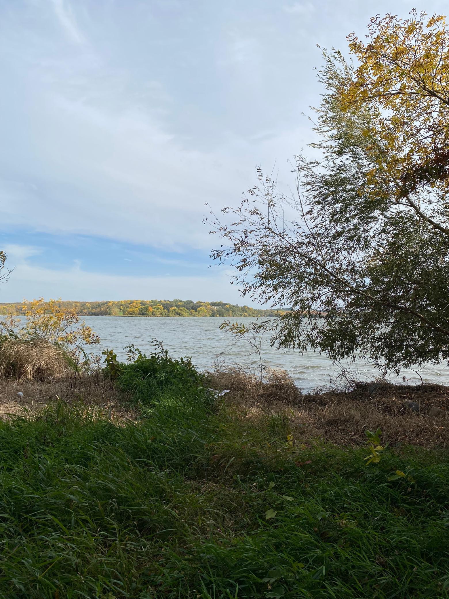 Lot 17 Nature Bay Estates Road Barrett, MN 56311 - Photo 1 of 1 Gallery Image 1