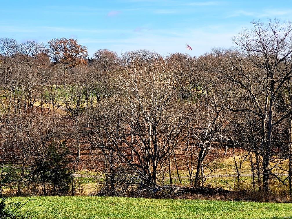 12322 Robyn Road St. Louis, MO 63127 - Photo 14 of 28 Gallery Image 14