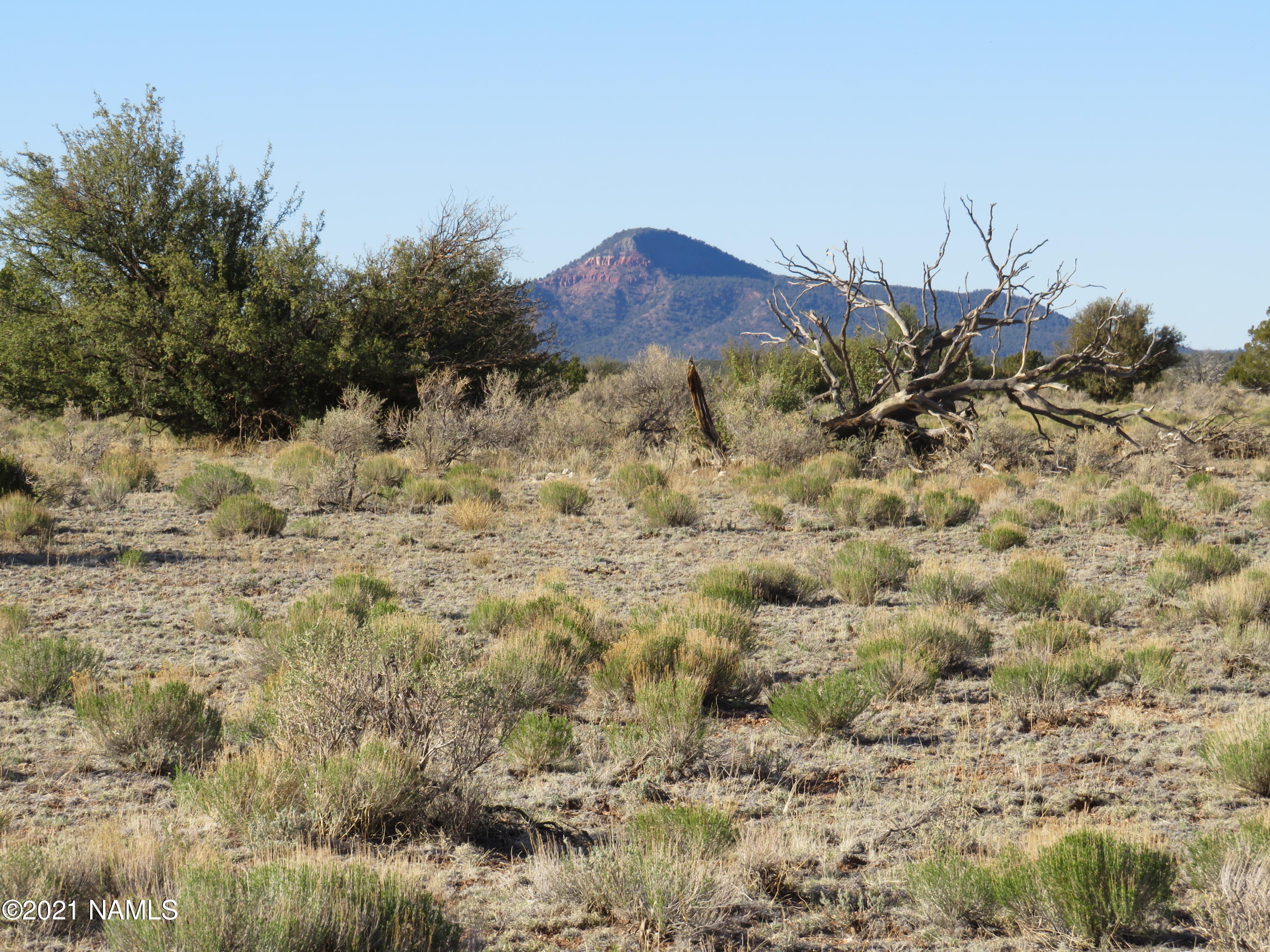 2150 Red Butte Road Williams, AZ 86046 - Photo 27 of 27 a view of a dry yard
