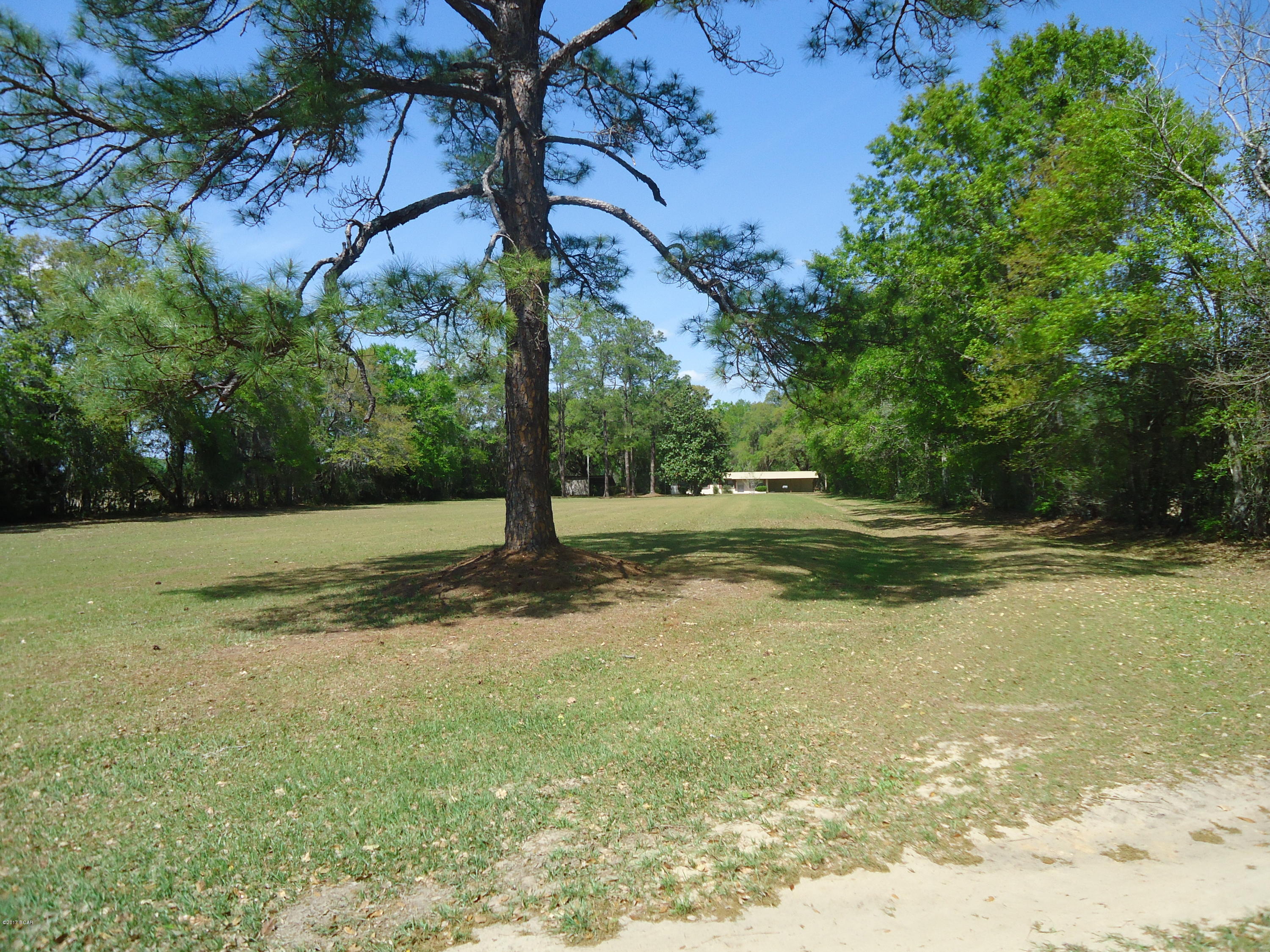 6144 Colorado Road Marianna, FL 32448 - Photo 5 of 34 Gallery Image 5