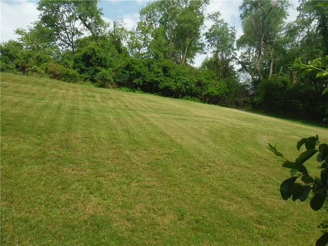 a view of a big yard