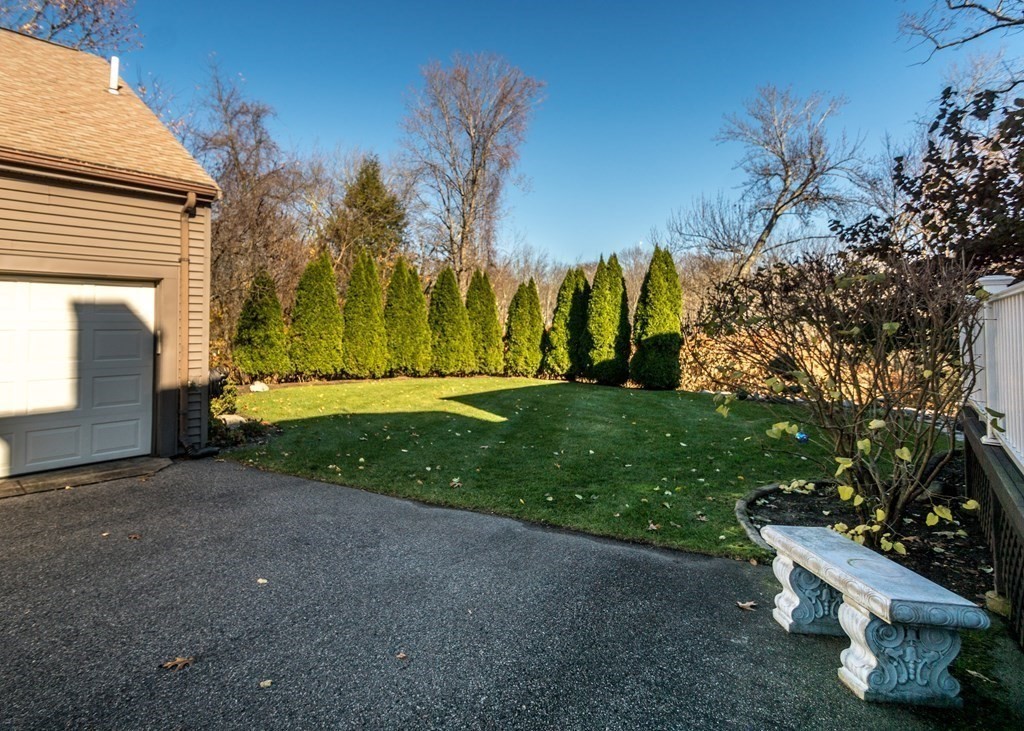 60 Pershing Road Needham, MA 02494 - Photo 27 of 30 a view of a backyard with palm tree