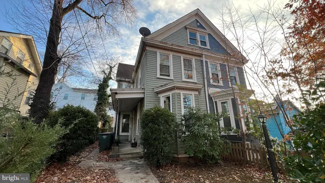 a front view of a house with plants and trees