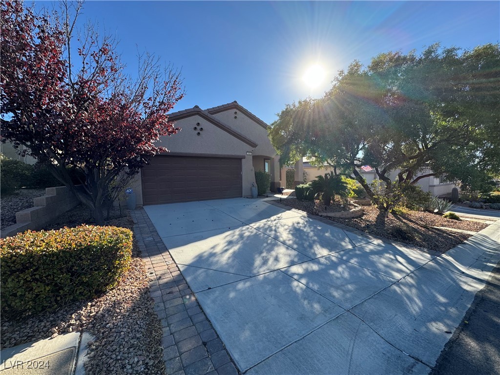 Front Driveway