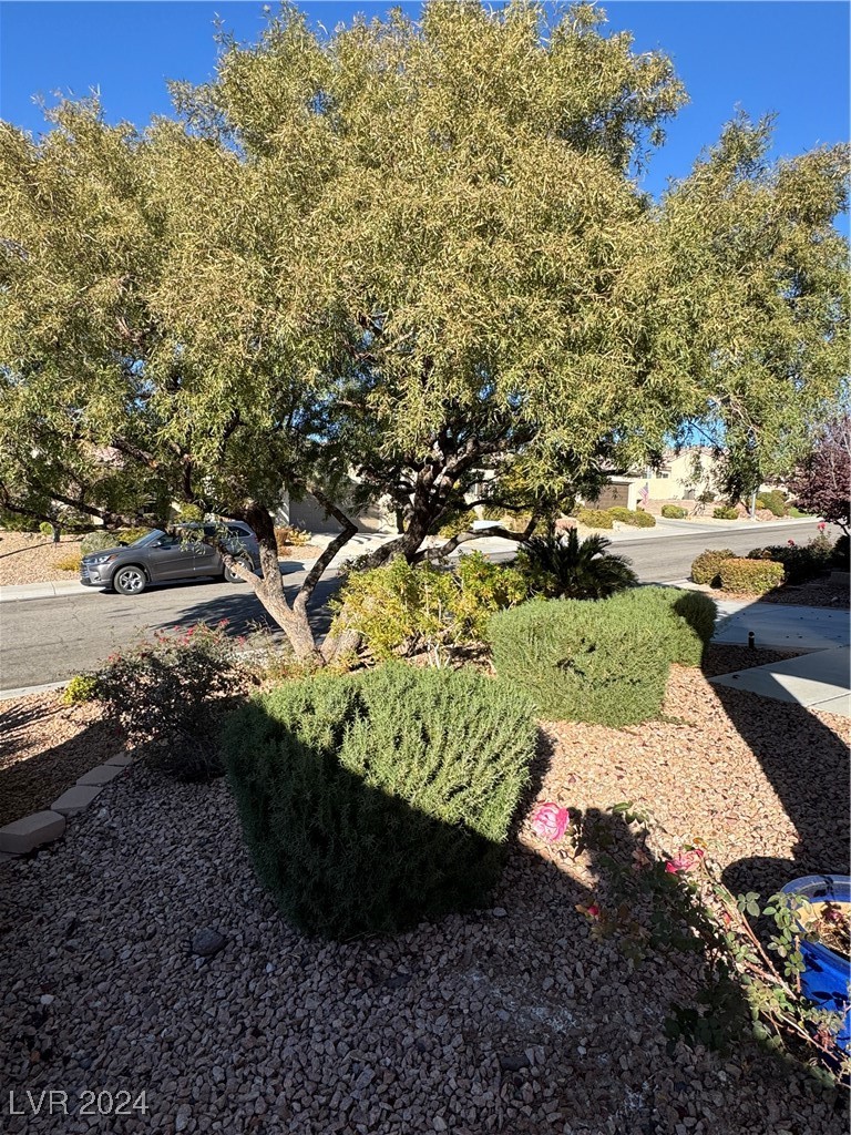3025 Fort Stanwix Road Henderson, NV 89052 - Photo 42 of 45 Elevated Front Yard