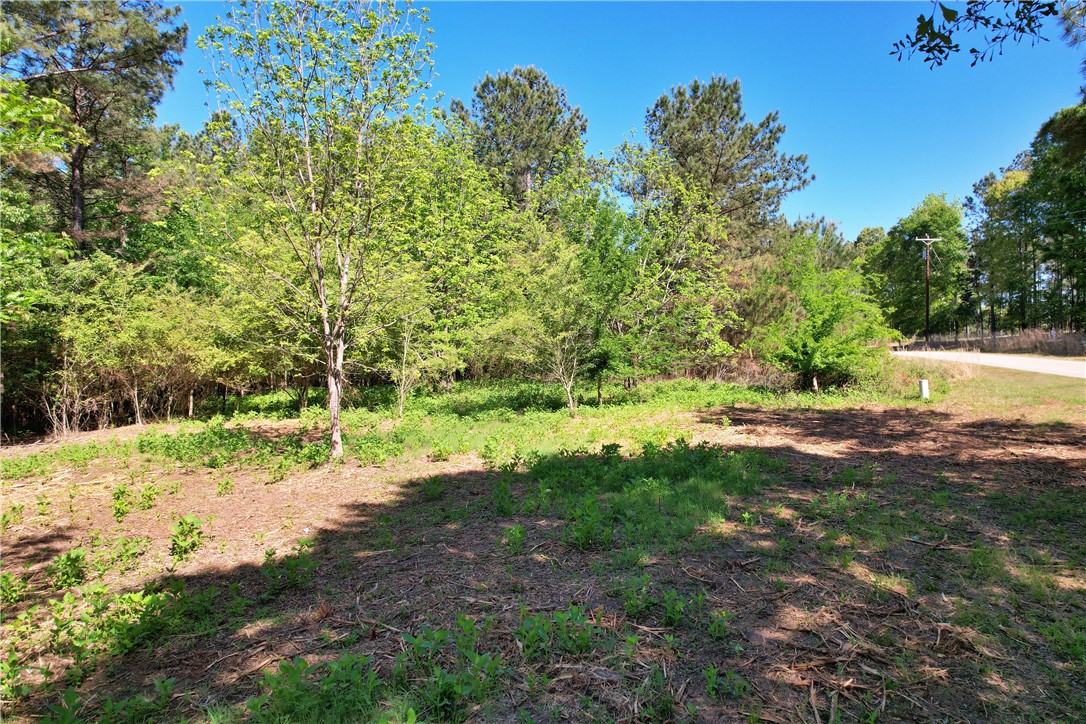 Lot 134 Mcalister Rd Union West Union, SC 29696 - Photo 42 of 43 This verdant, wooded lot offers ample space for building your dream home.