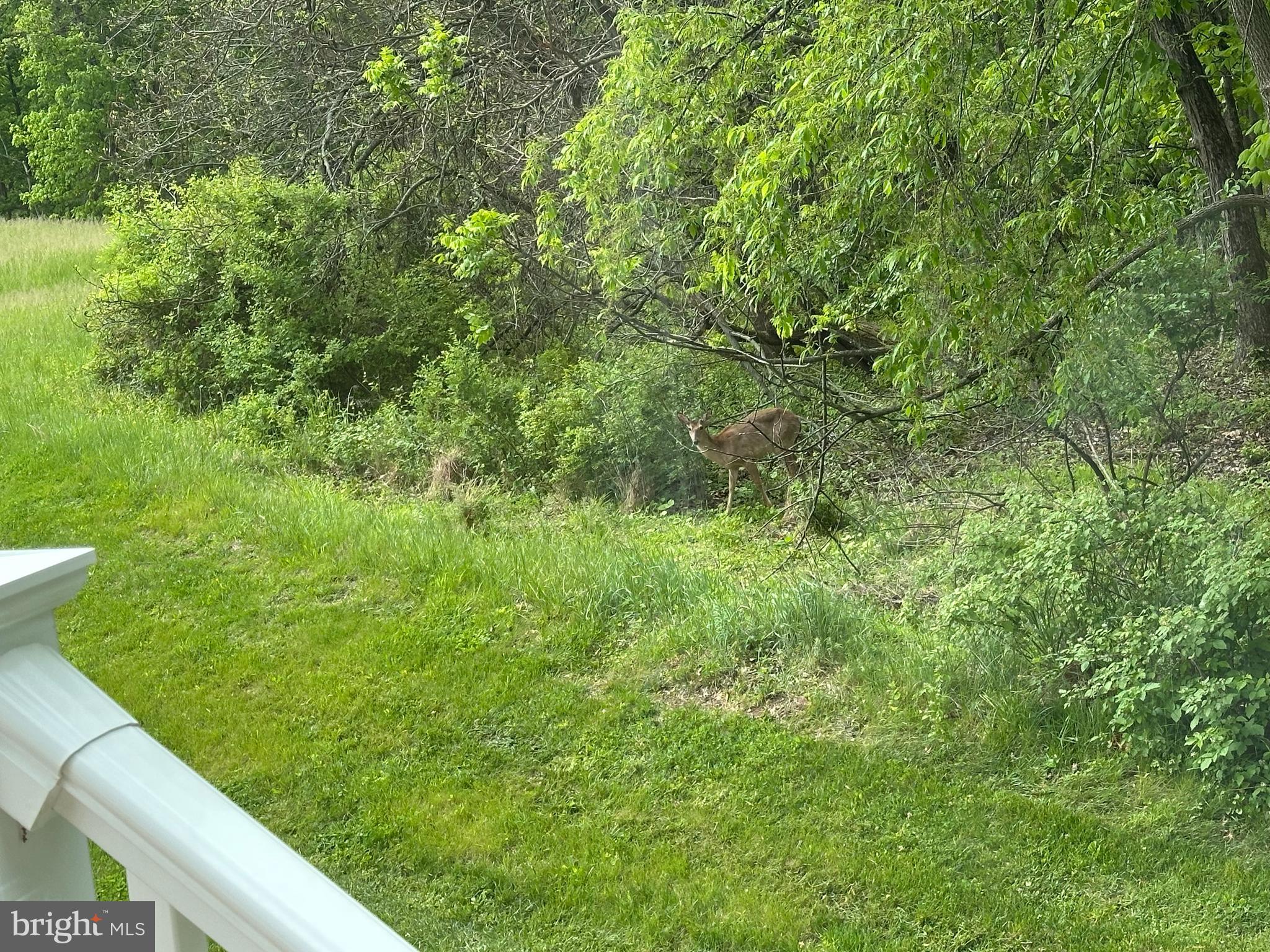 143 Bittern Drive Gettysburg, PA 17325 - Photo 33 of 33