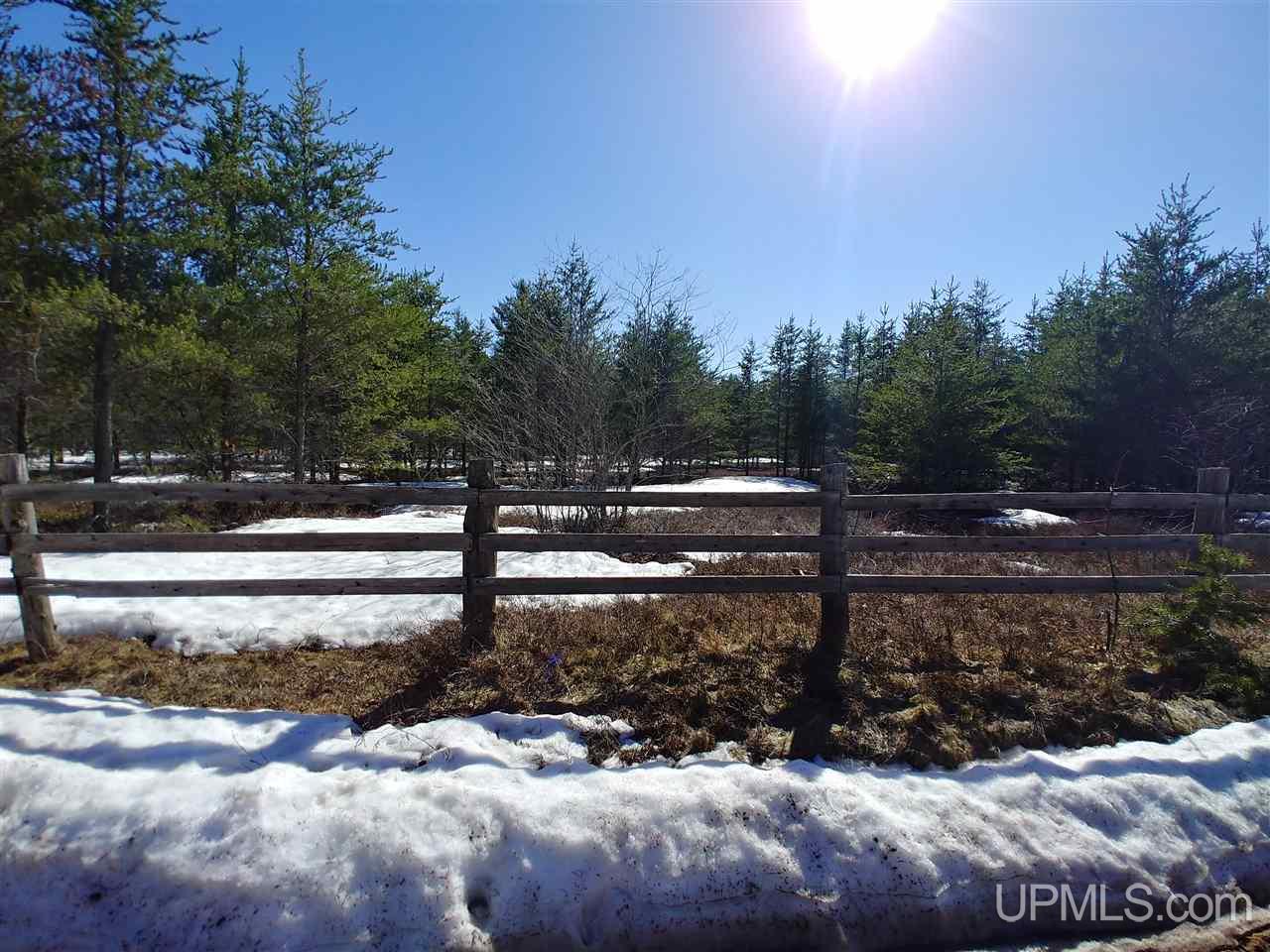 Tbd Tbd Millyard Road Little Lake, MI 49833 - Photo 1 of 8