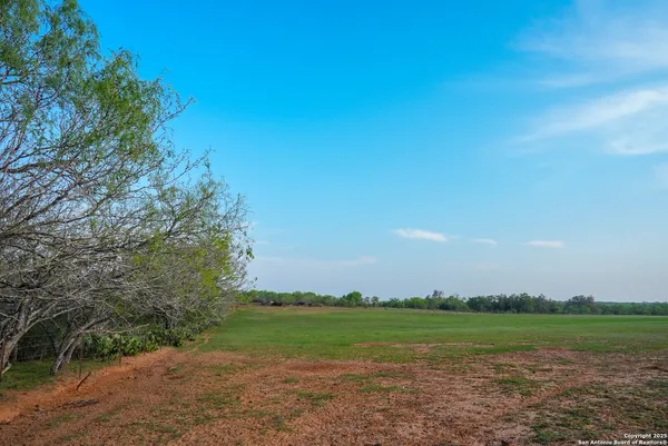 a view of a field with an trees