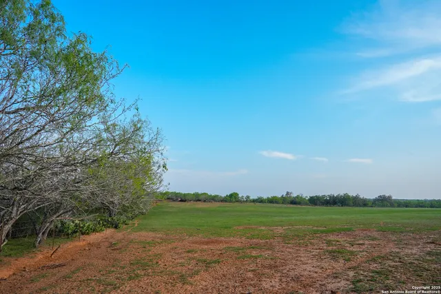 a view of a field with an trees