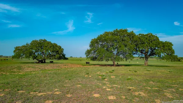 a view of outdoor space with trees all around