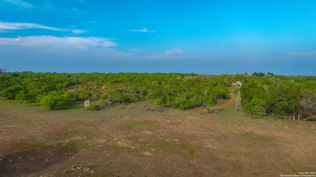 a view of a field with an ocean