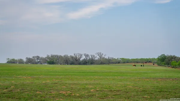 a view of a green field with trees in the background