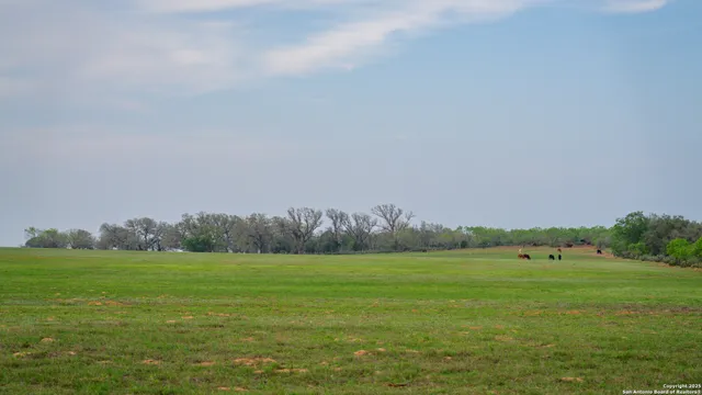 a view of a green field with trees in the background