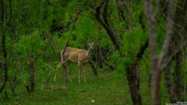 a backyard of a house with lots of green space and garden