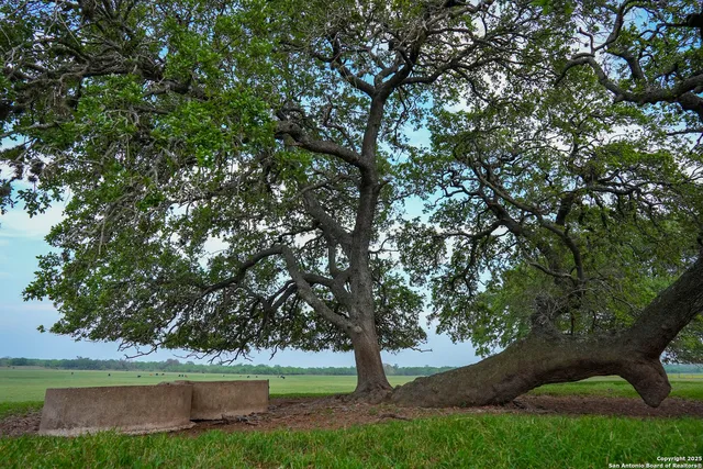 a picture of city view