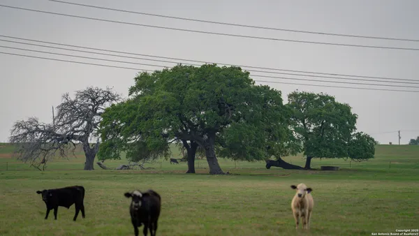 a view of a lake view