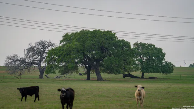 a backyard of a house with lots of green space and seating area