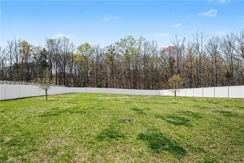 245 Centenary Ridge Drive Clemmons, NC 27012 - Photo 41 of 48