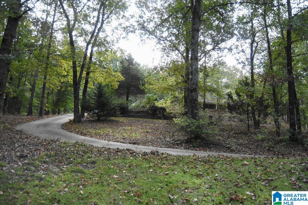 506 Quarry Road Gadsden, AL 35905 - Photo 10 of 80 Gallery Image 10