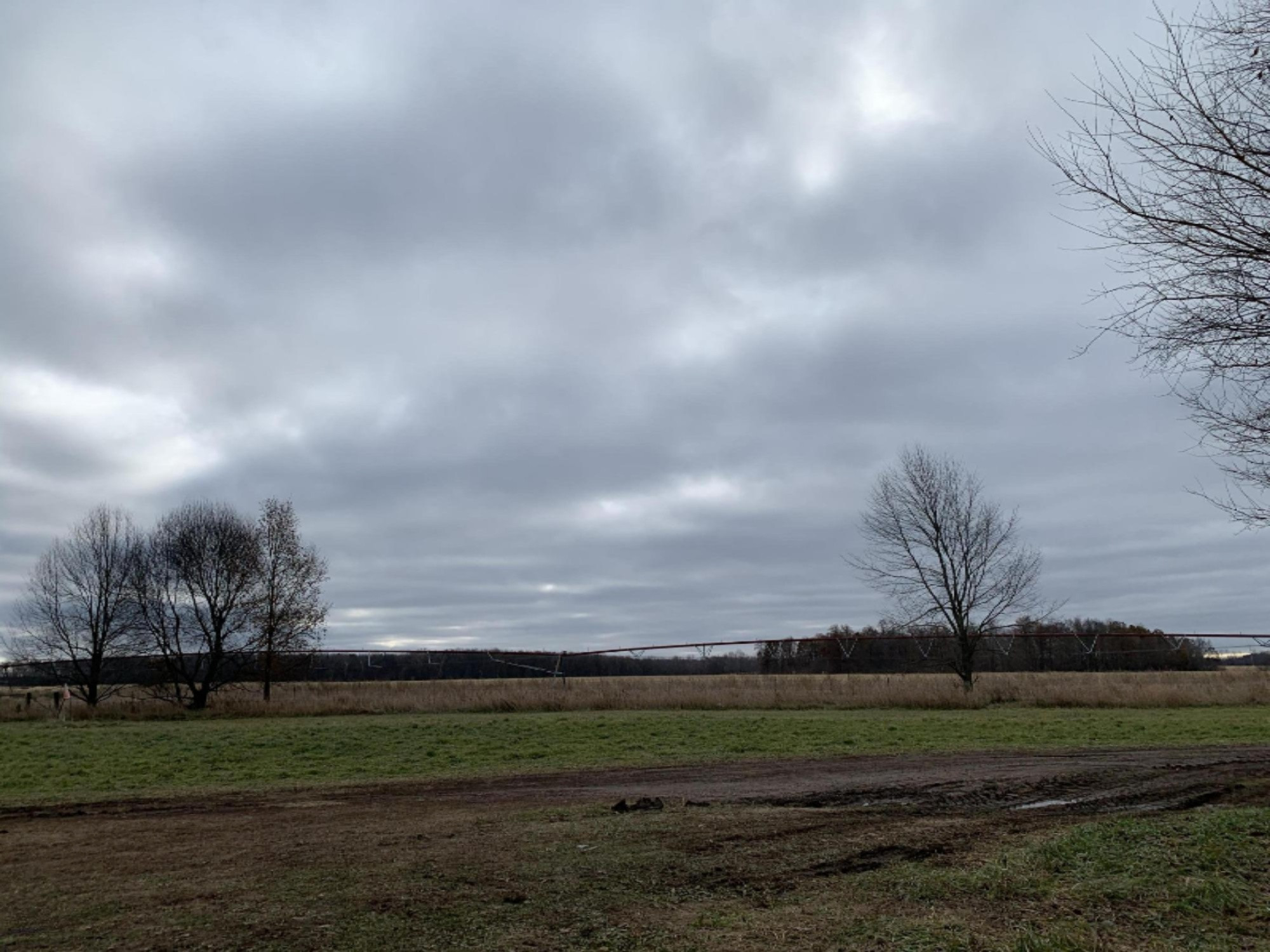 215 West Chicago Road Coldwater, MI 49036 - Photo 36 of 37 0FDDBEFB-01D0-47CB-B27A-82D33686EAAD