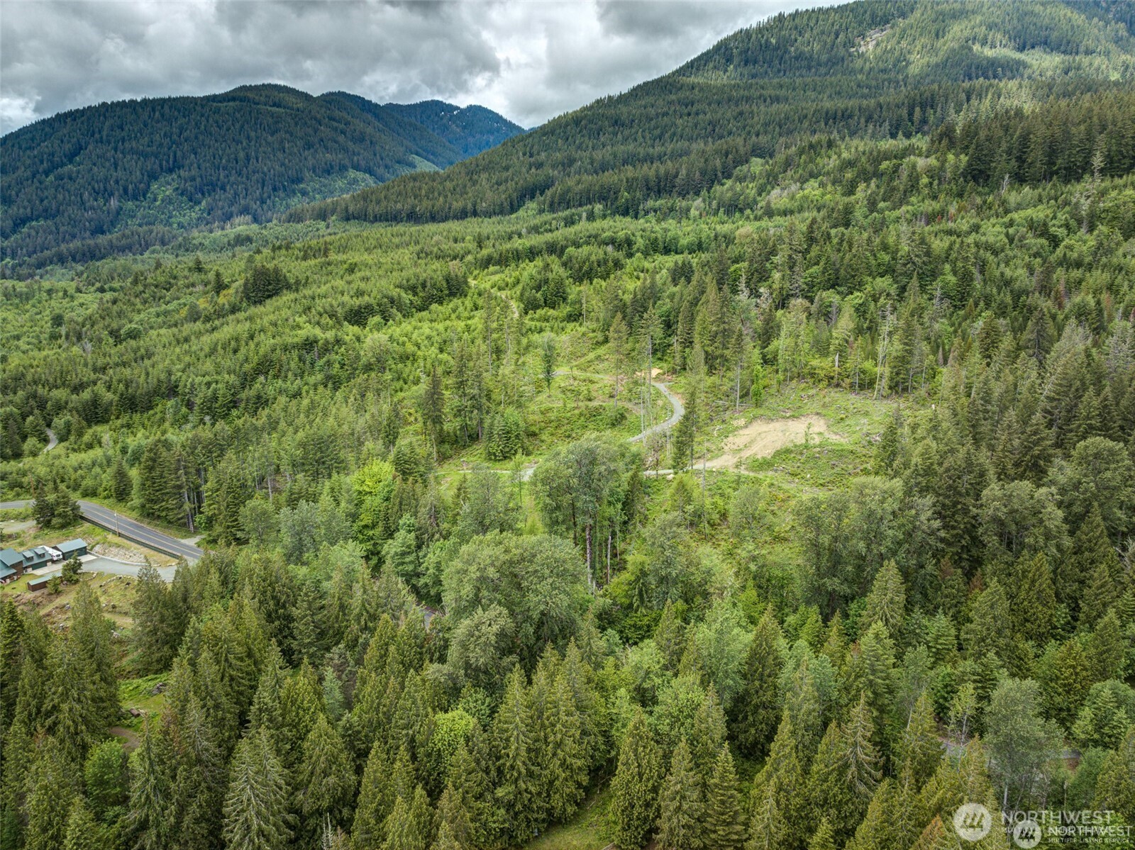 189 Carr Road Randle, WA 98377 - Photo 4 of 4 a view of a lush green hillside and a houses