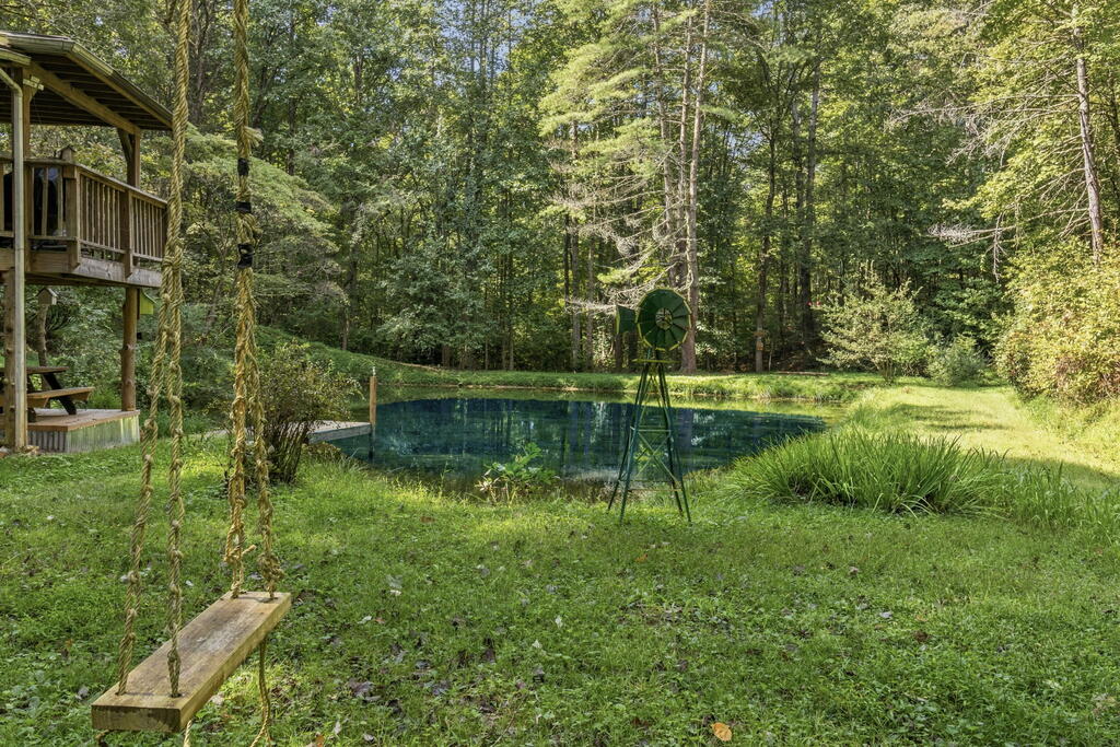 250 McCollum Road Ellijay, GA 30540 - Photo 39 of 42 Gallery Image 39