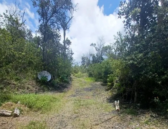 $25,000 | 17 Orchid Parkway, Ocean View, HI 96737