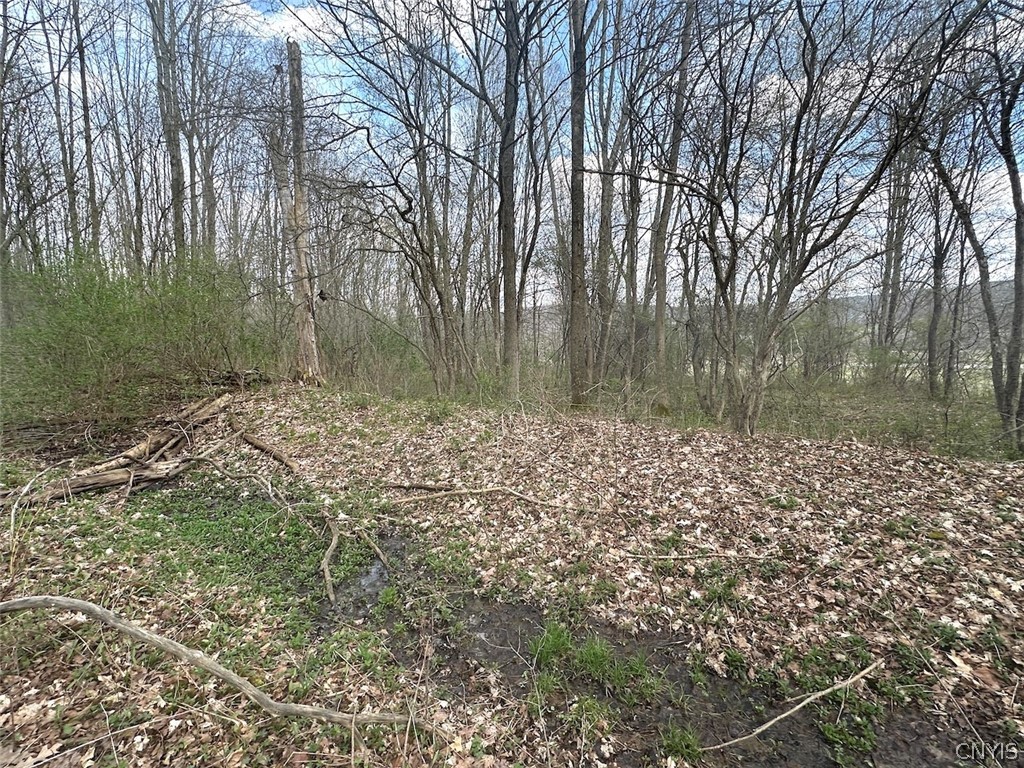 Pigtail Road Friendship, NY 14739 - Photo 5 of 11