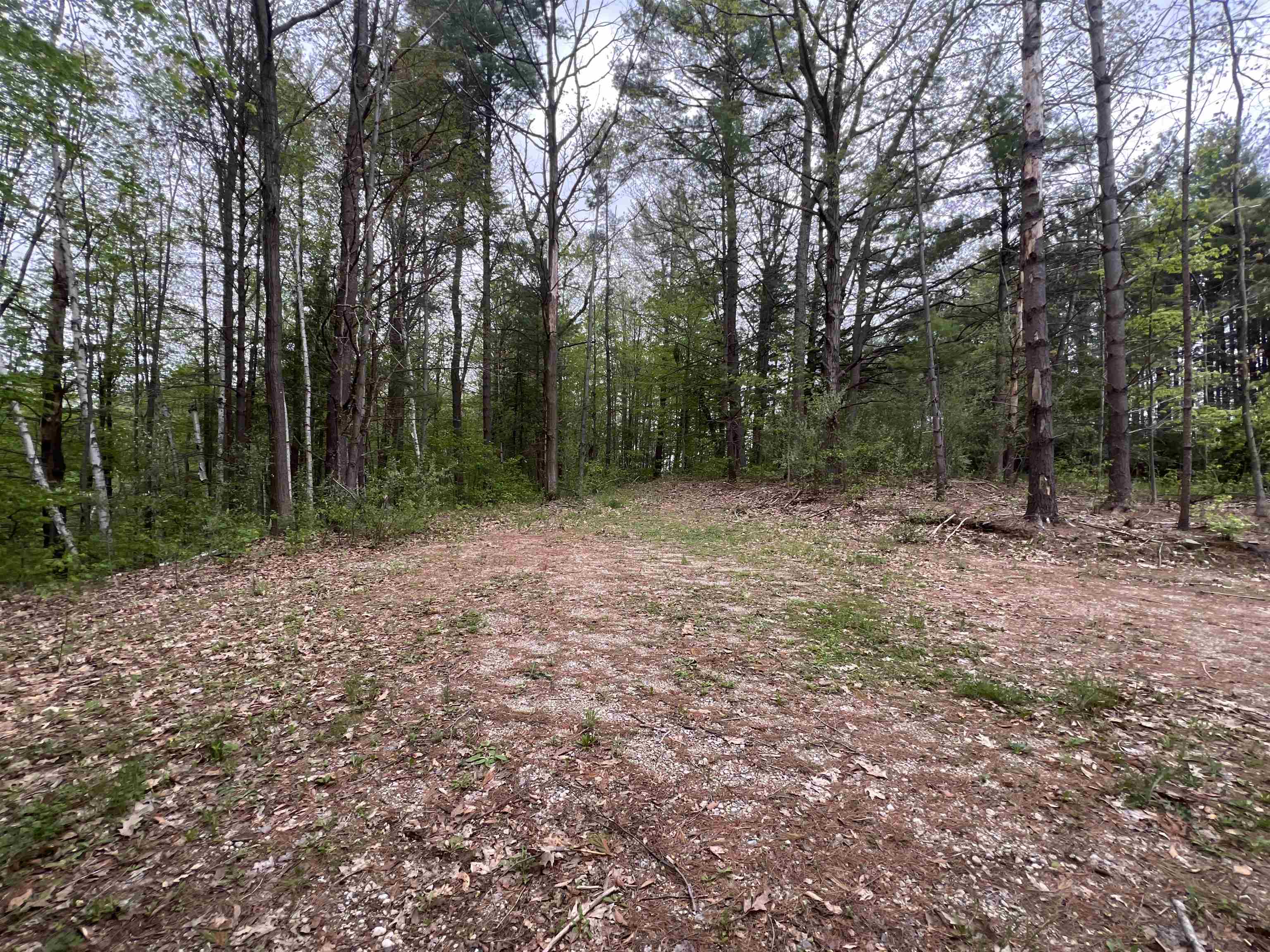 8919 East Gladwin Road Harrison, MI 48625 - Photo 2 of 9