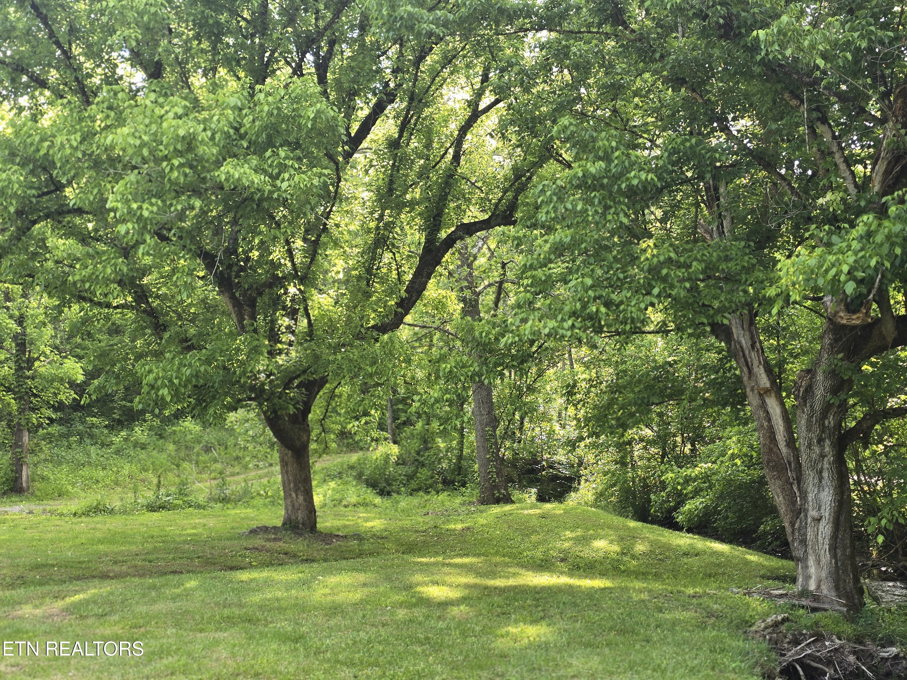 2615 Stoney Fork Road Sneedville, TN 37869 - Photo 4 of 60 20260514_182645
