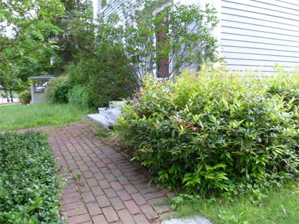 54 Church Street Ware, MA 01082 - Photo 7 of 28 Gallery Image 7