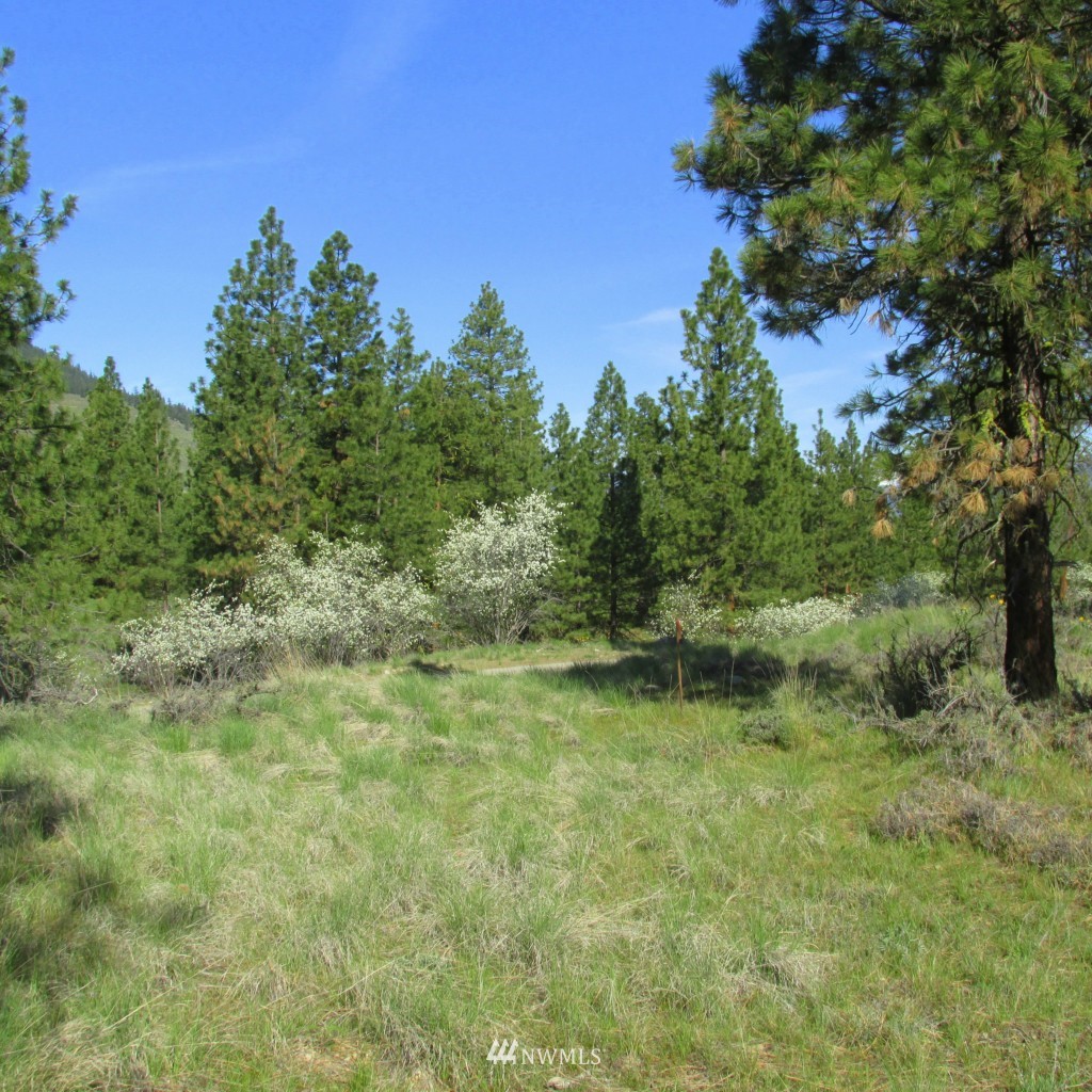23 Balsamroot Road Winthrop, WA 98862 - Photo 1 of 14 Gallery Image 1