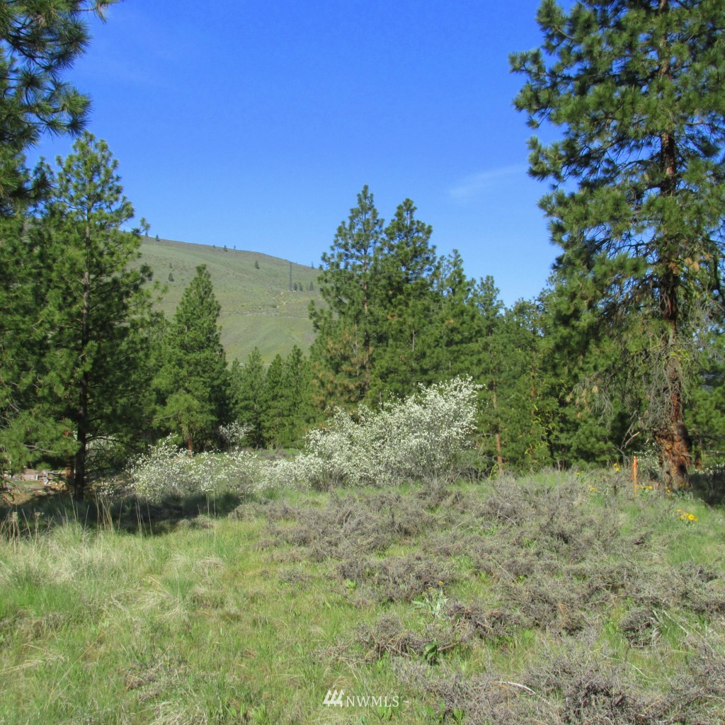 23 Balsamroot Road Winthrop, WA 98862 - Photo 2 of 14 Gallery Image 2