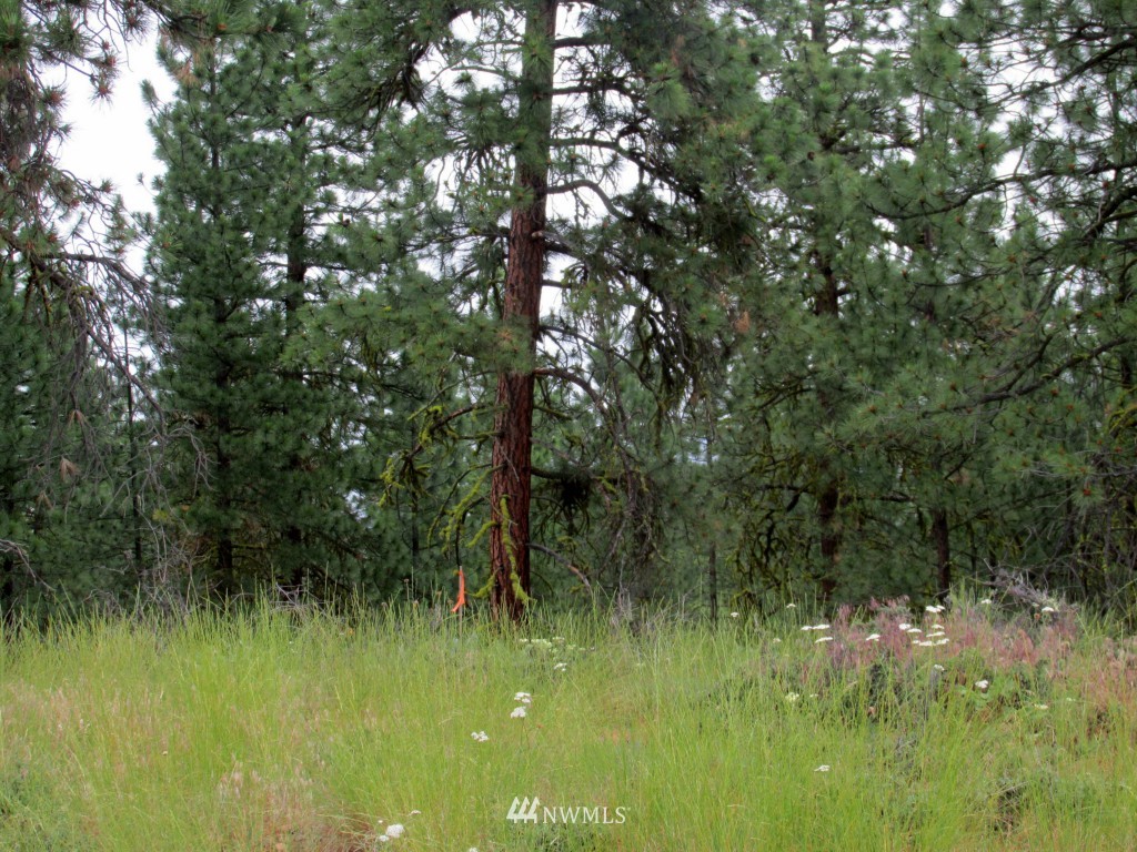 23 Balsamroot Road Winthrop, WA 98862 - Photo 11 of 14 Gallery Image 11