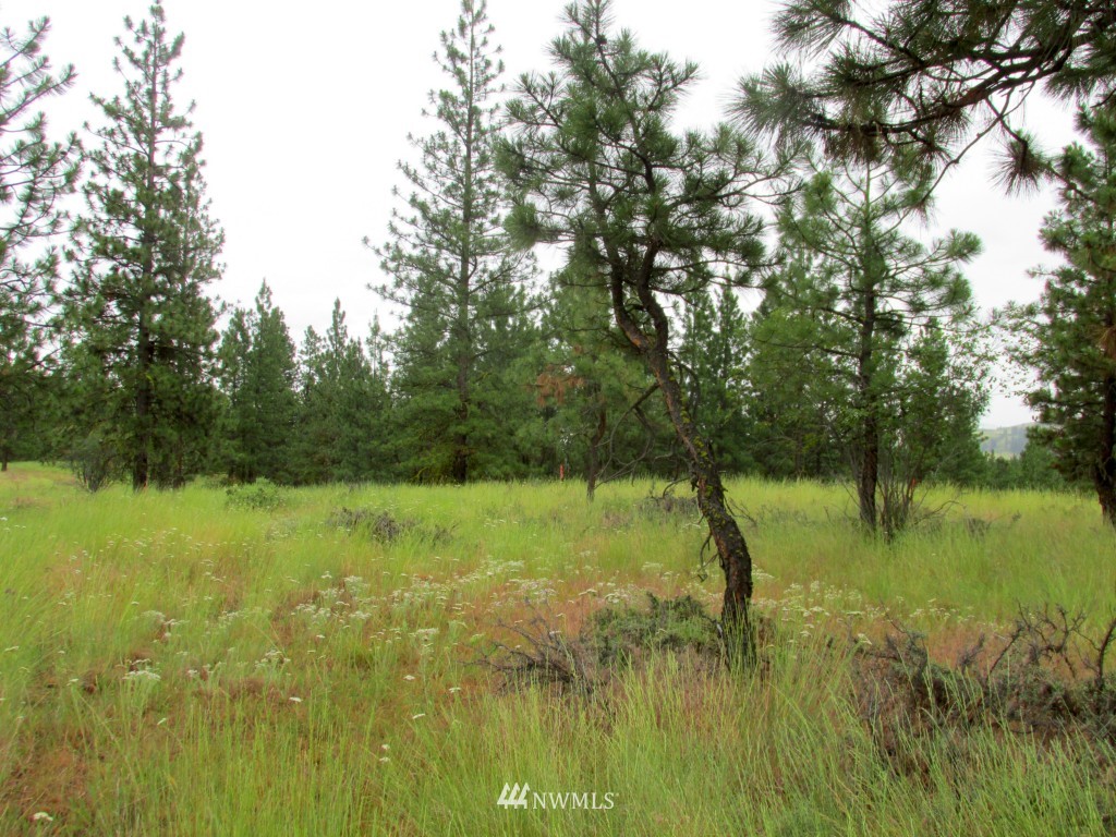 23 Balsamroot Road Winthrop, WA 98862 - Photo 12 of 14 Gallery Image 12