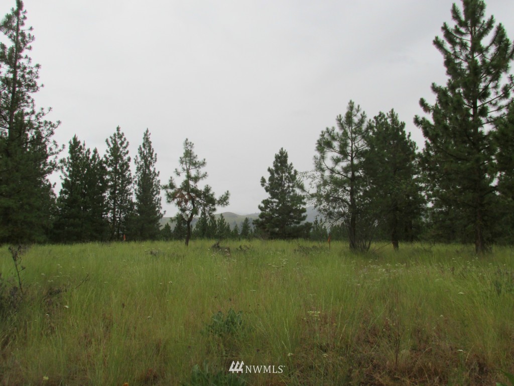 23 Balsamroot Road Winthrop, WA 98862 - Photo 13 of 14 Gallery Image 13