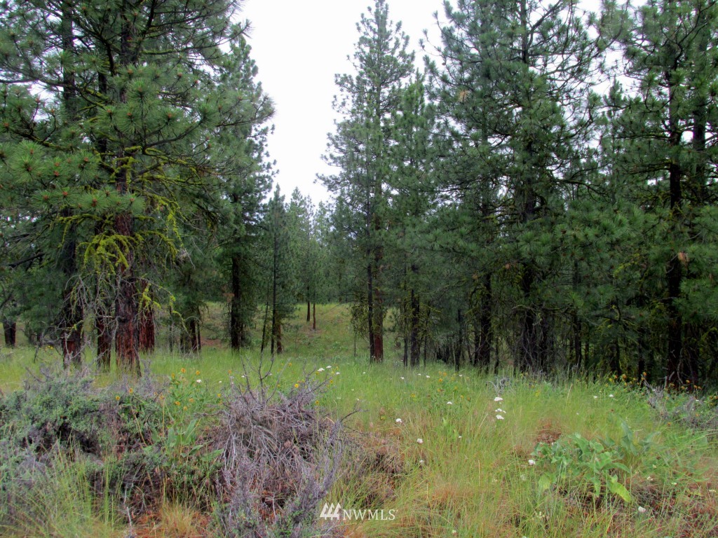 23 Balsamroot Road Winthrop, WA 98862 - Photo 14 of 14 Gallery Image 14