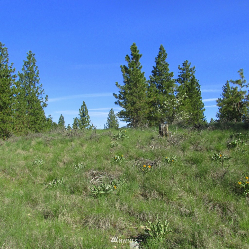 23 Balsamroot Road Winthrop, WA 98862 - Photo 3 of 14 Gallery Image 3
