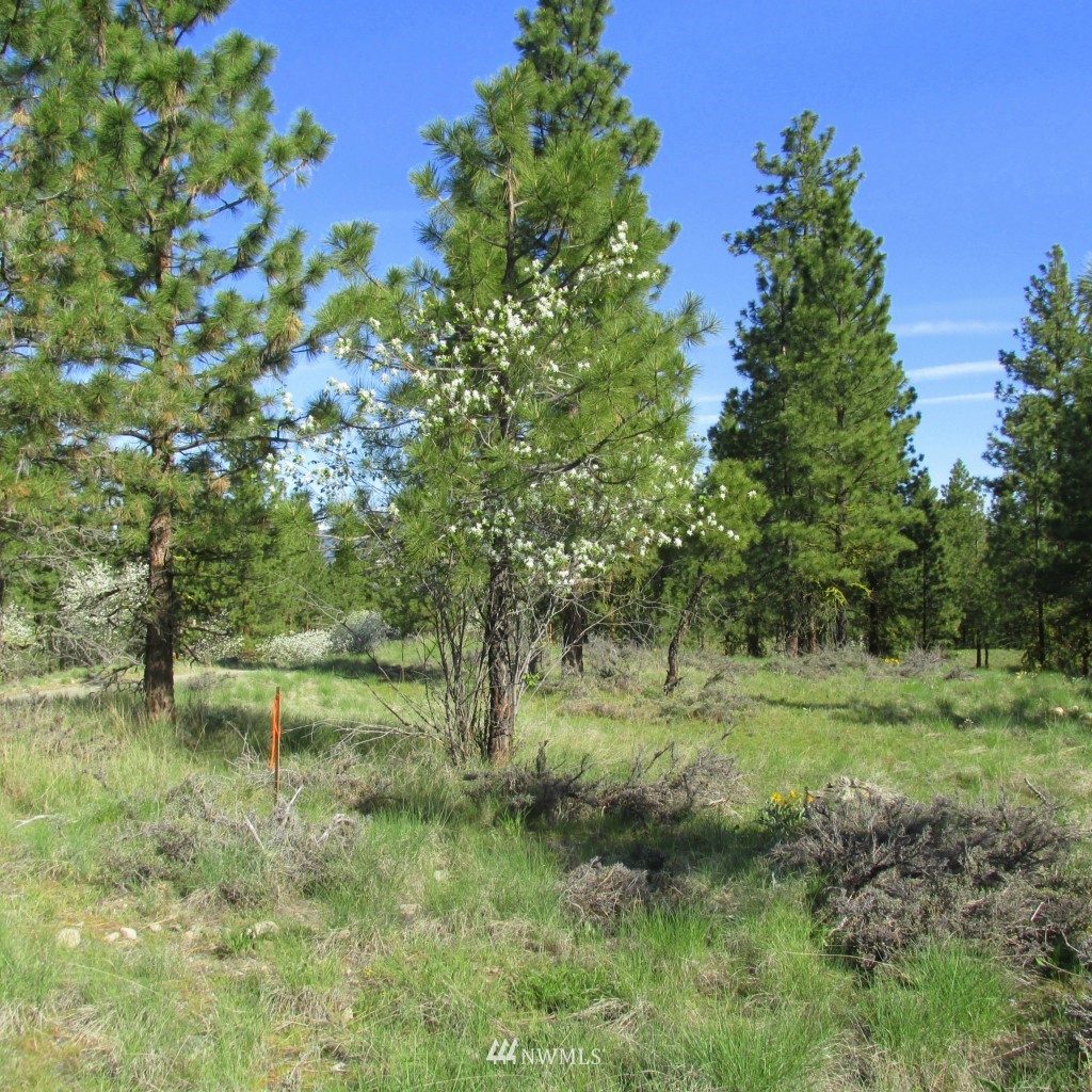 23 Balsamroot Road Winthrop, WA 98862 - Photo 4 of 14 Gallery Image 4