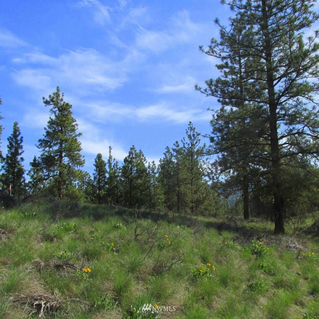 23 Balsamroot Road Winthrop, WA 98862 - Photo 5 of 14 Gallery Image 5