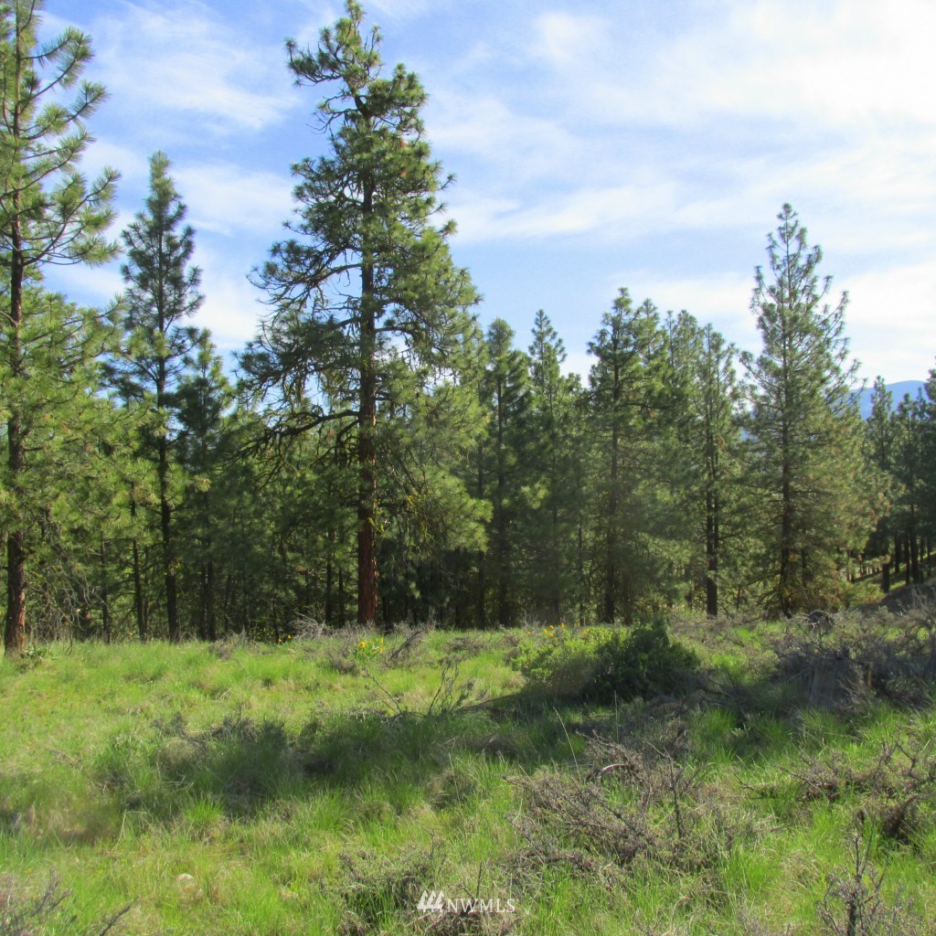 23 Balsamroot Road Winthrop, WA 98862 - Photo 6 of 14 Gallery Image 6