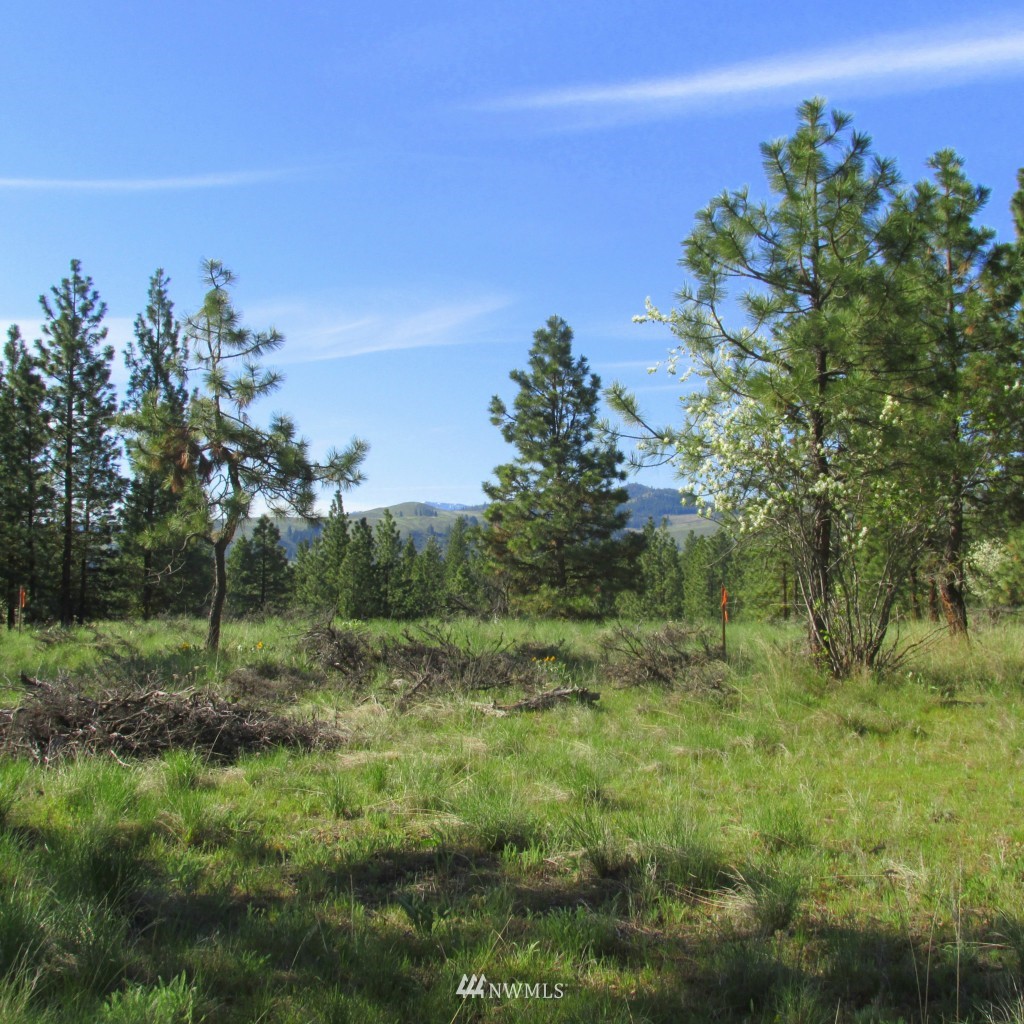 23 Balsamroot Road Winthrop, WA 98862 - Photo 7 of 14 Gallery Image 7