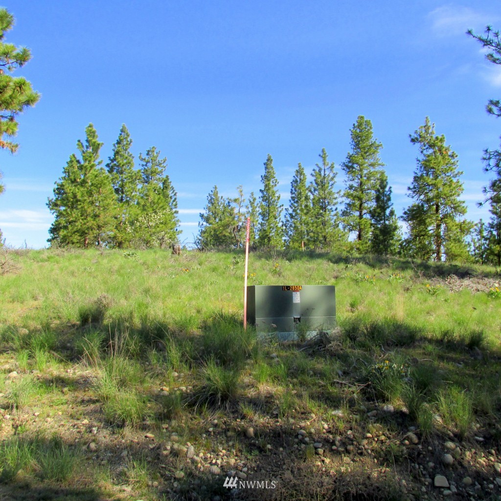 23 Balsamroot Road Winthrop, WA 98862 - Photo 8 of 14 Gallery Image 8