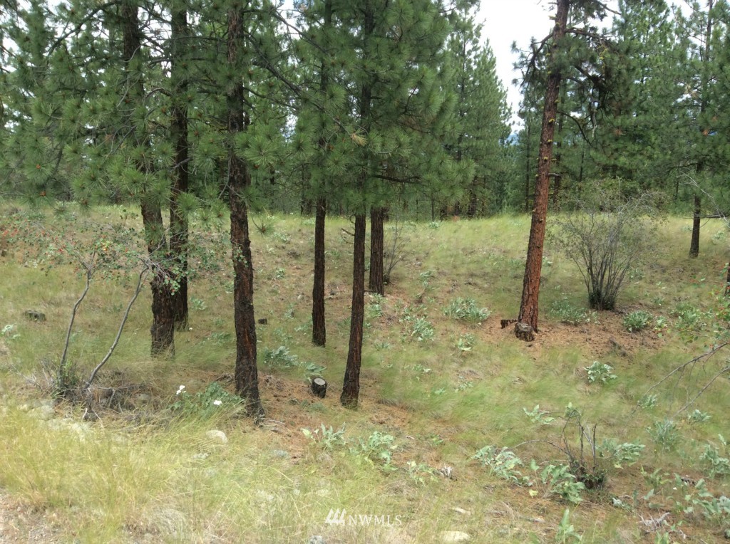23 Balsamroot Road Winthrop, WA 98862 - Photo 9 of 14 Gallery Image 9